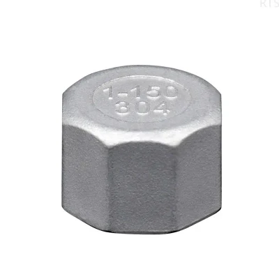 Casting Female Thread Connector Stainless Steel Hex Cap