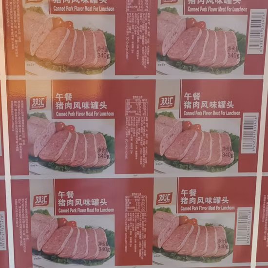 Electrical Printed and Lacquered Tinplate for Metal Package