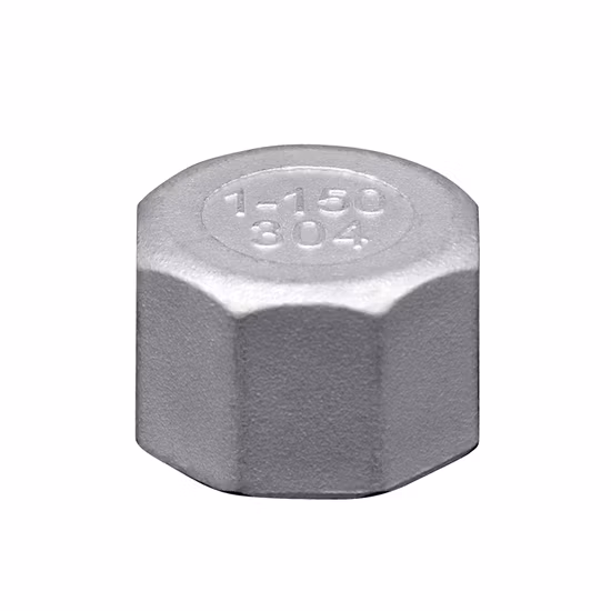 Ss 304 316 Casting Female Thread Connector Stainless Steel Hex Cap